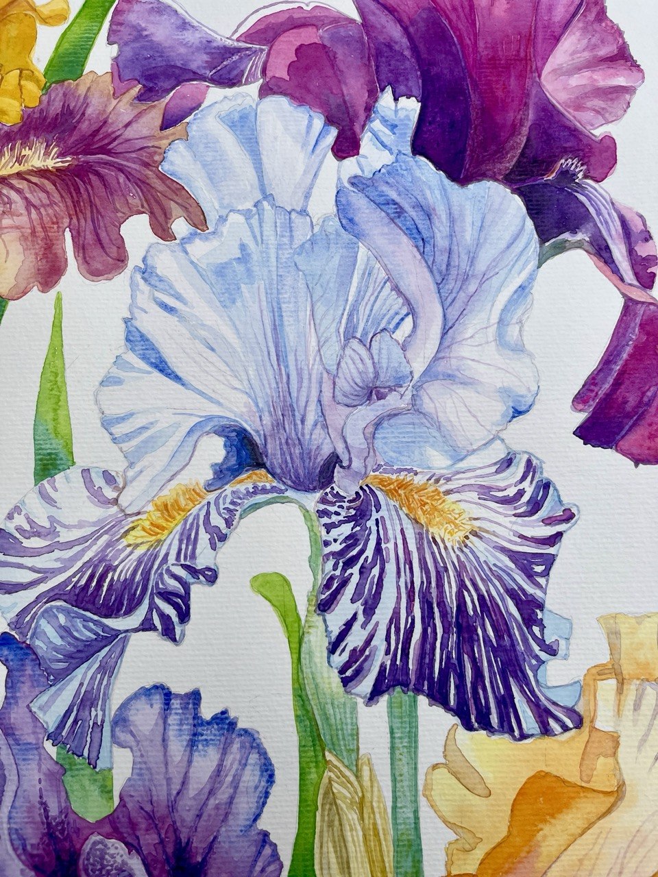 Irises-Original Watercolor Painting A2 (42*59,4 cm)