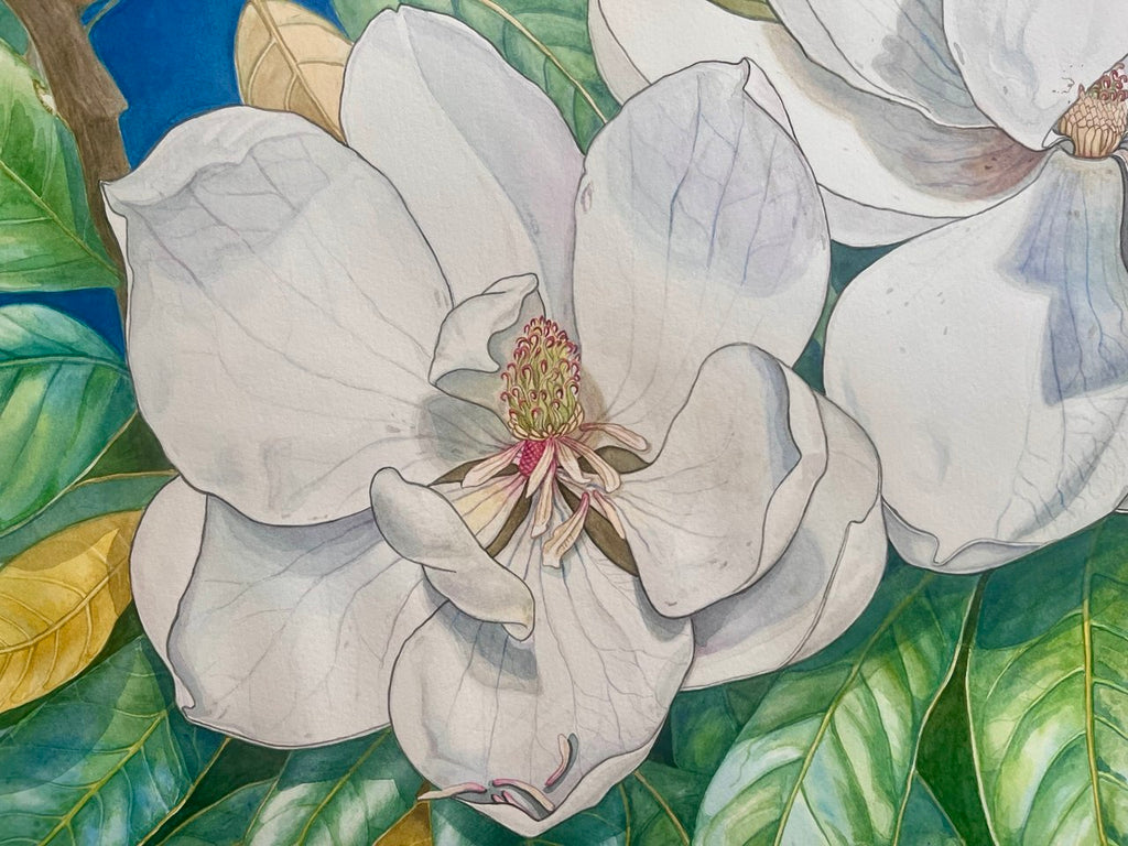 Magnolia Grandiflora | Original Watercolor Painting 57*75 cm