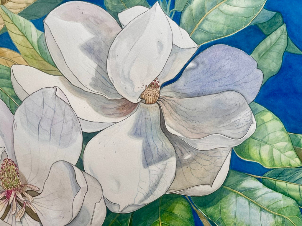 Magnolia Grandiflora | Original Watercolor Painting 57*75 cm