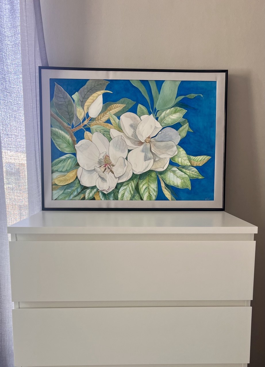Magnolia Grandiflora | Original Watercolor Painting 57*75 cm