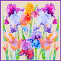 Scarf  with Watercolour Print Irises | Beige