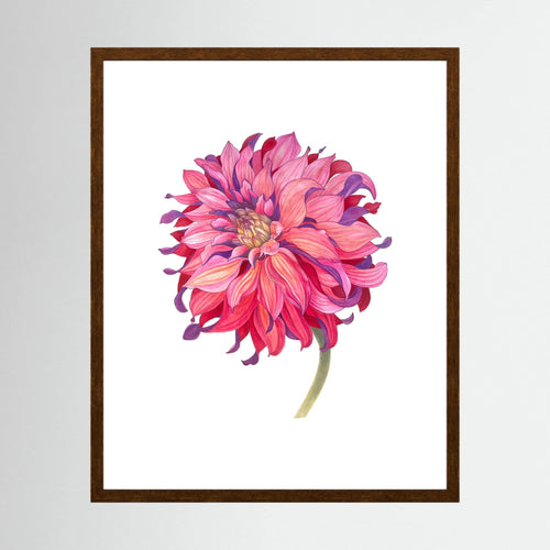 Chrysanthemum | Fine Art Paper Print