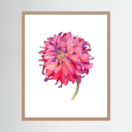 Chrysanthemum | Fine Art Paper Print