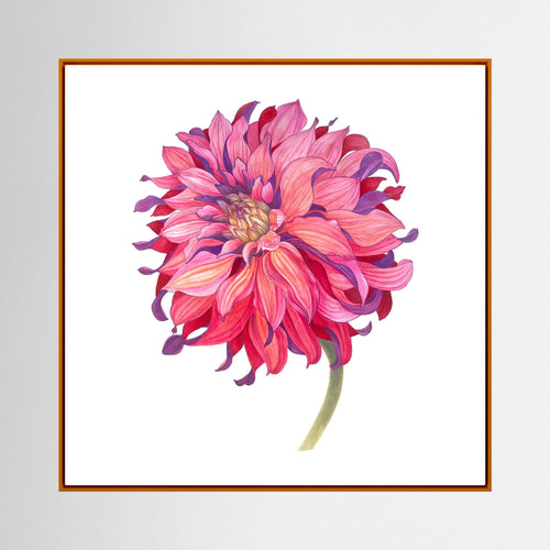 Chrysanthemum | Canvas Print