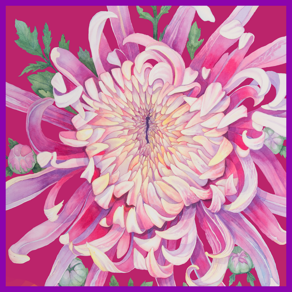 Flower Silk Scarf Dahlia | Pink Red Color