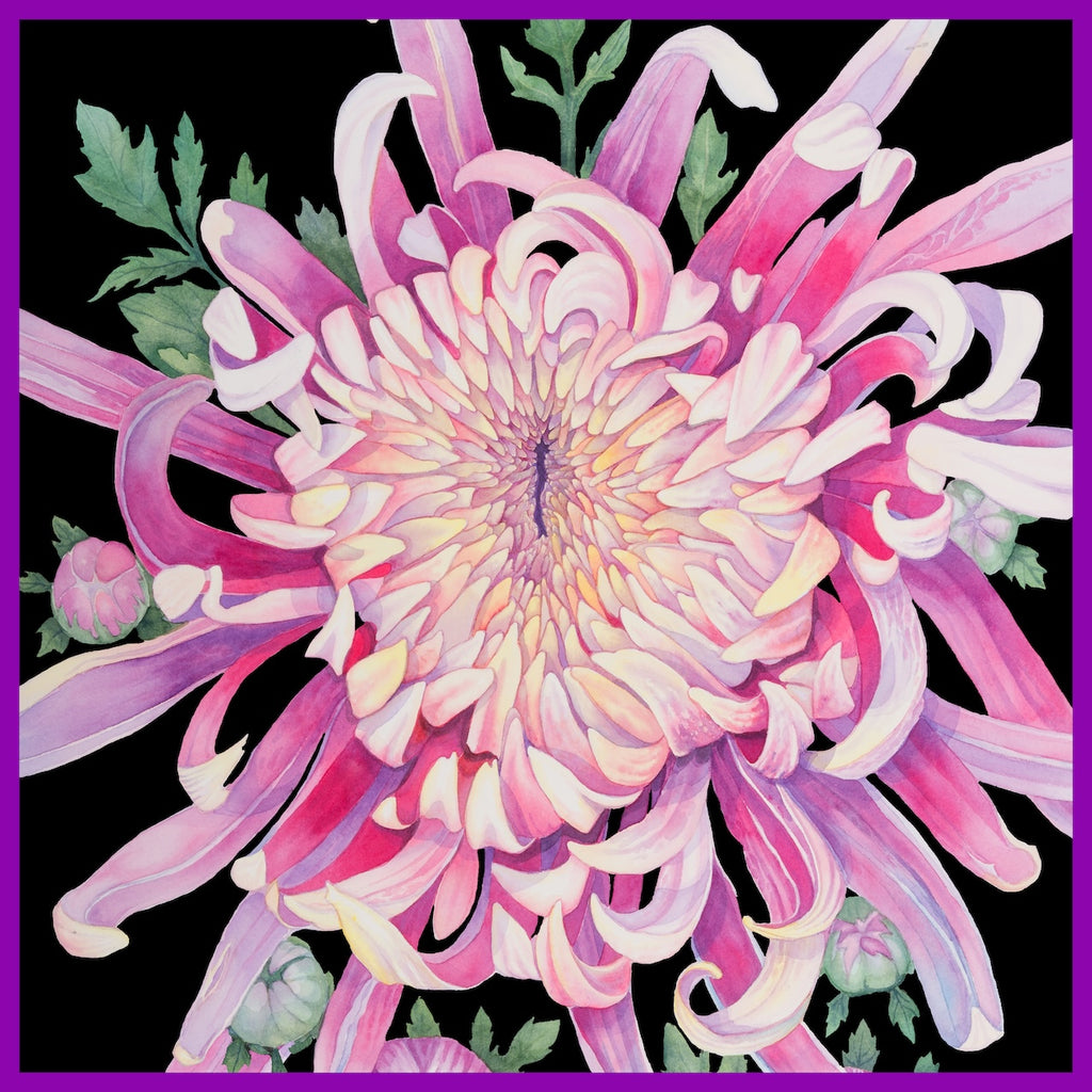 Flower Silk Scarf Dahlia | Black Color
