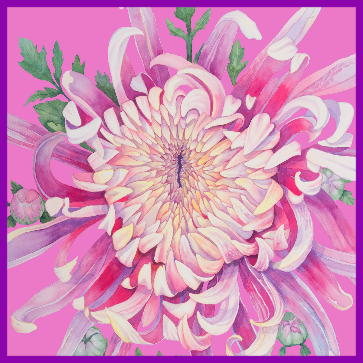 Flower Silk Scarf Dahlia | Pink Color